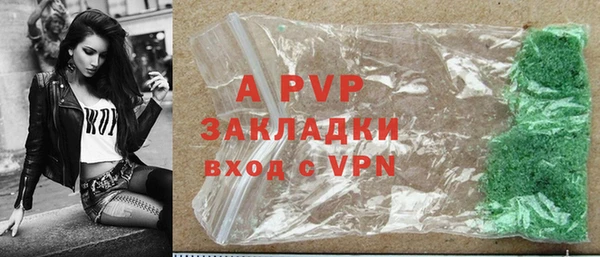 СК Абинск