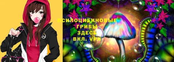 сатива Алексеевка