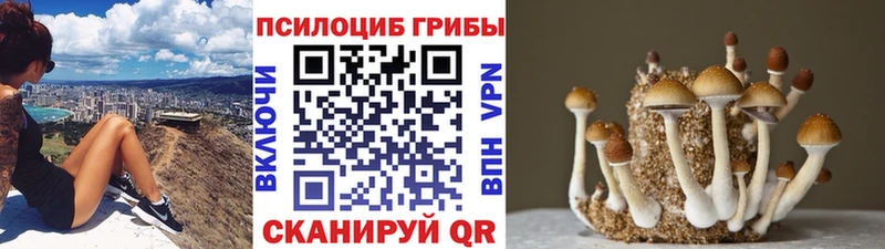 Псилоцибиновые грибы Magic Shrooms  Дербент 