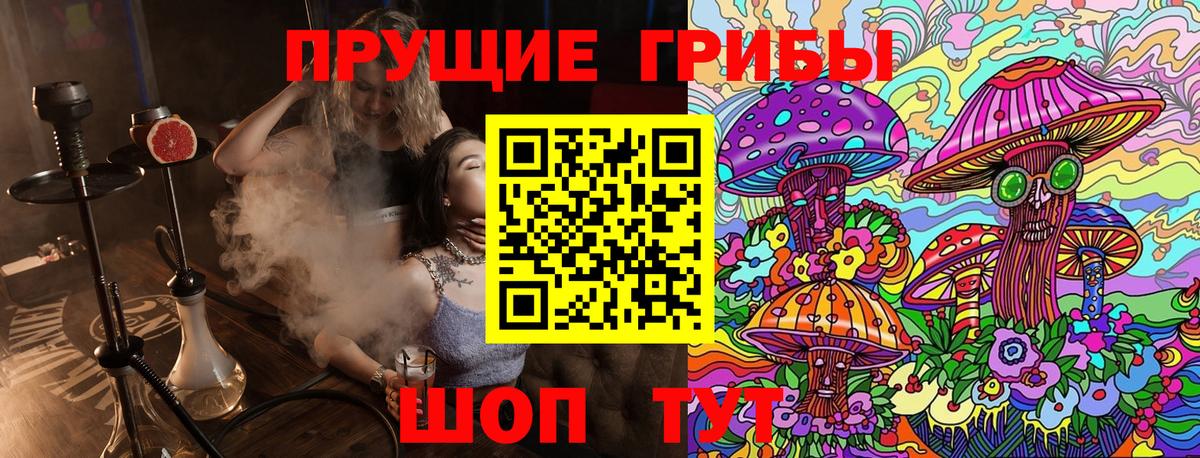 наркота  Псилоцибиновые грибы GOLDEN TEACHER  Вход с VPN  Дербент 