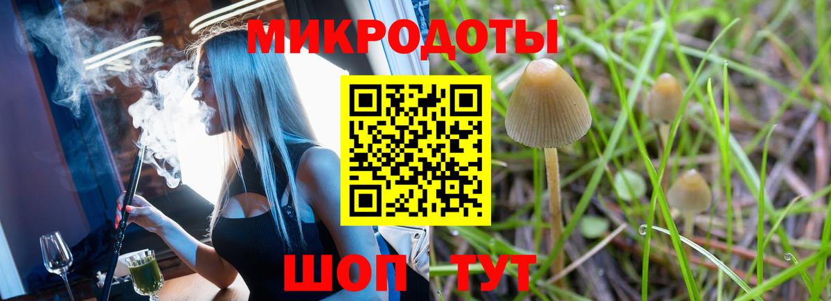 Галлюциногенные грибы Psilocybine cubensis Дербент