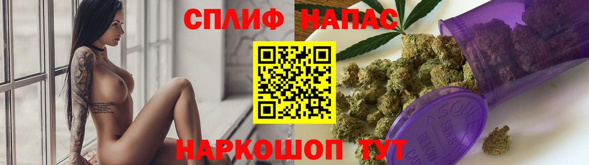 Каннабис планчик Дербент